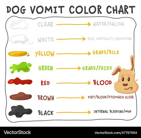 Dog vomit color guide editable Royalty Free Vector Image