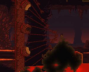 Wall of Flesh - The Official Terraria Wiki