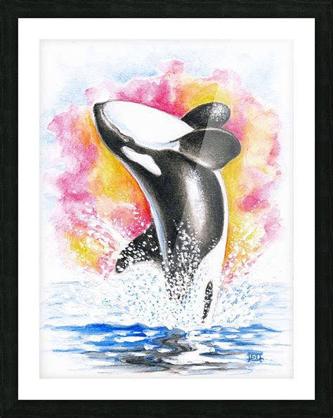 Orca Whale Watercolor at PaintingValley.com | Explore collection of ...