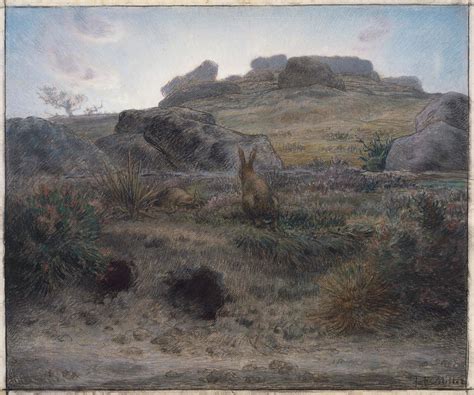 Rabbit Warren, Dawn | Museum of Fine Arts, Boston