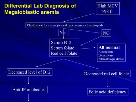 Megaloblastic anemia Due to B 12 and folate