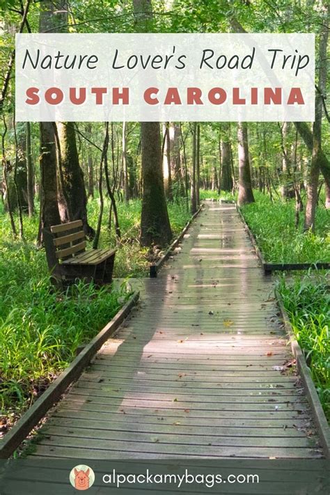 The ultimate north carolina road trip itinerary for families top 10 nc ...