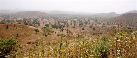 Sahel Landscape