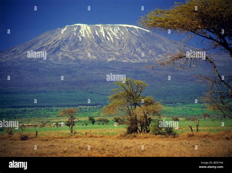 Snow peaked kilimanjaro hi-res stock photography and images - Alamy