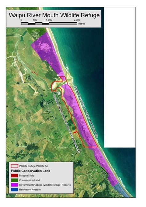 Waipu-NZ Fairy tern breeding area 2009-10 | Download Scientific Diagram