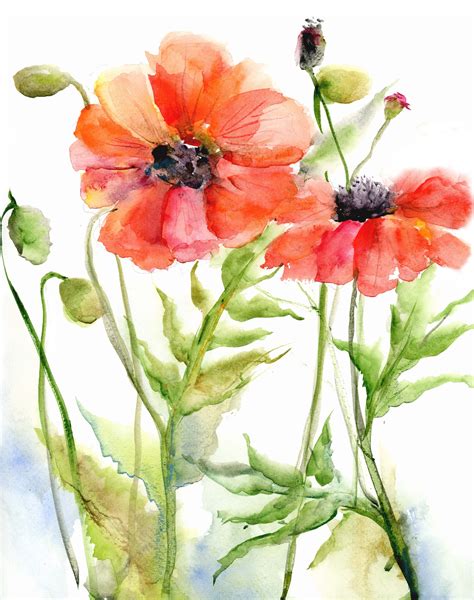 red poppy print watercolor poppy painting watercolor