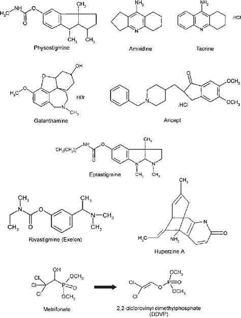 Structures of some AChE inhibitors proposed for AD treatment ...