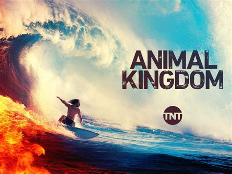 Animal Kingdom Season 5: Amazon Prime Video is all set to launch New