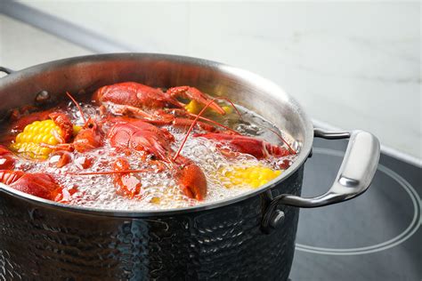 What’s the best way to cook lobster: steamed or boiled? - Maine Lobster ...