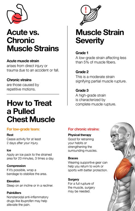 Intercostal Muscle Strain: What Is It, Causes, Signs,, 46% OFF