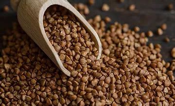 Buckwheat Seeds by Marvel International, Buckwheat Seeds from Salem ...