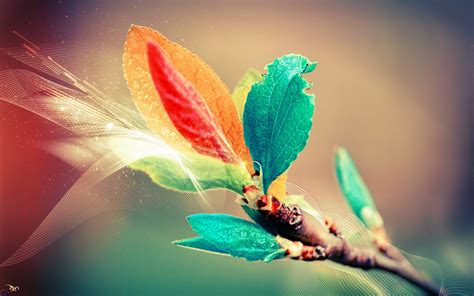 leaves, Anime, Colorful, Nature, Plants, Photo Manipulation Wallpapers ...