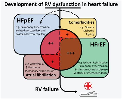 Heart Failure Lv Ejection Fraction | Natural Resource Department