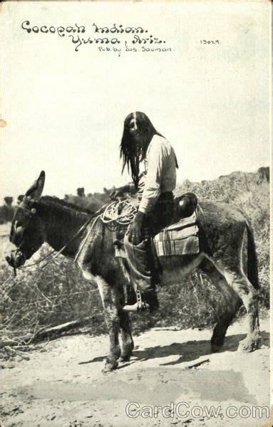 Cocopah Indian | Native american indians, Native american history ...