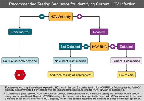 Core Concepts - Hepatitis C Diagnostic Testing - Screening and ...