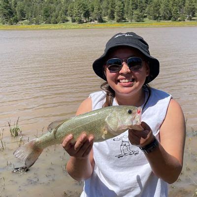 Fishing in Kaibab Lake