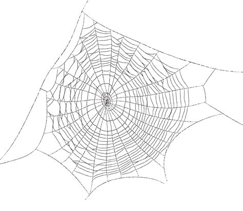 Spider web Web decoration - Spider web spider web pattern cartoon png ...