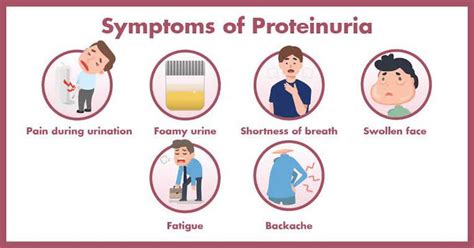 Proteinuria - MEDizzy