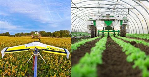 9 Robots That Are Invading The Agriculture Industry - Amazing Stories