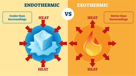 What Is The Difference Between Exothermic And Endothermic Chemical ...