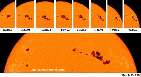 The Solar Cycle | Astronomy