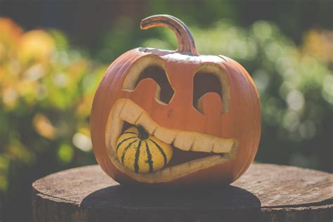 Free Images : pumpkin, calabaza, halloween, cucurbita, jack o lantern ...