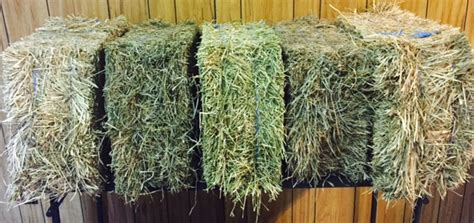 Hay Products | Your hay source in Hampton Roads, Virginia