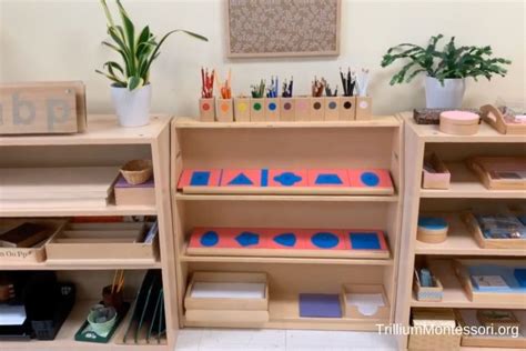 Montessori Curriculum for Early Childhood