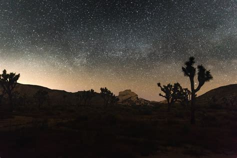 The night sky at Joshua Tree National Park, California [OC][5760x3840 ...