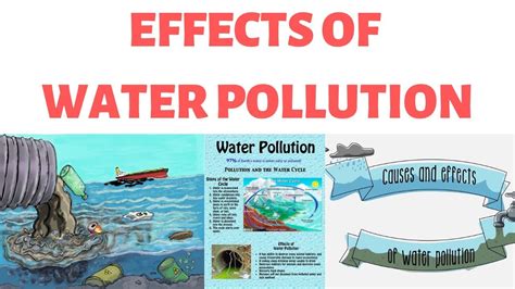 Effects of water pollution