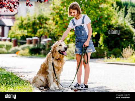 Girl with golden retriever dog Stock Photo - Alamy