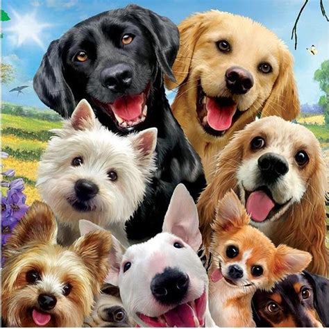 Animal Diamond Painting Kits Custom Dogs Selfie - Beautiful Cheap ...