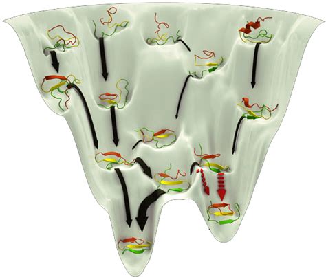 Energizing Protein Folding