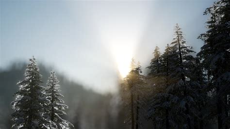 dramatic winter sunrise in the mountains 5634096 Stock Video at Vecteezy