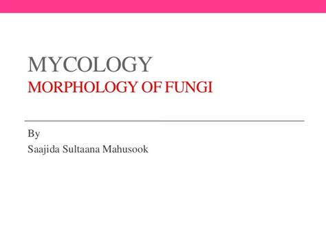 Morphology of Fungi