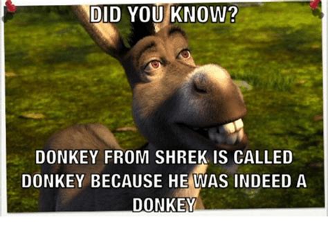 150+ Funny Shrek Memes For True Ogres (And Donkeys) – FandomSpot