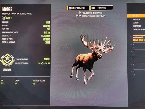 Great one moose!!! tracked him for over an hour and shot him while he ...