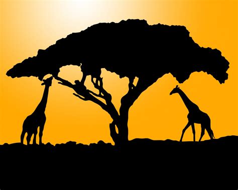 African Giraffe Silhouette at GetDrawings | Free download