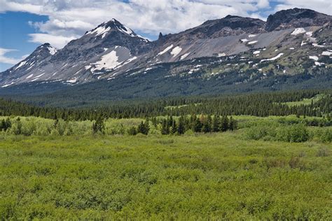 Autumn Creek Trail – EXPERIENCE GLACIER NATIONAL PARK