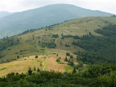 Roan Mountain Hiking - Balds, Rhododendrons, and Spruce-Fir Forests