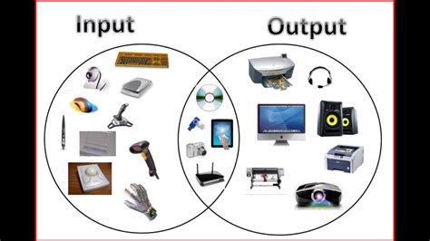 Computer Hardware Input Devices Examples