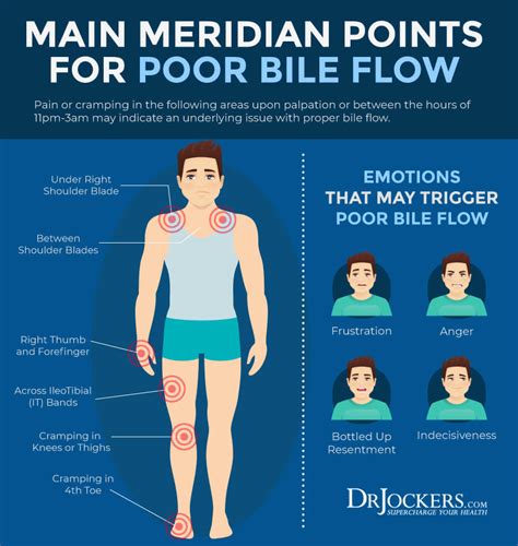 22 Symptoms of GallBladder Disease - DrJockers.com