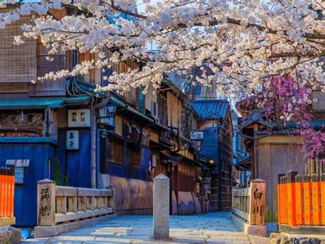 Top 6 địa điểm ngắm hoa anh đào ở Kyoto