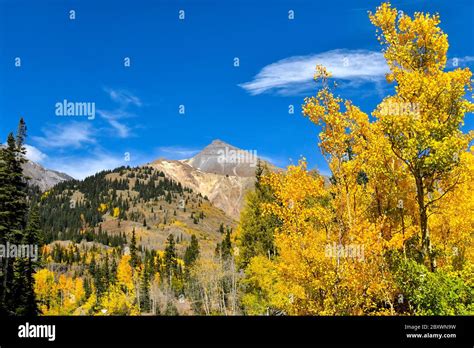 Beautiful fall colors in the San Juan Skyway, Uncompahgre National ...