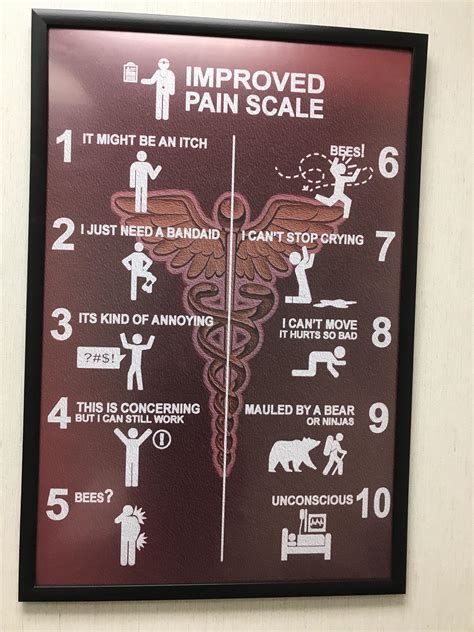 Pain scale from my PT’s office : r/funny