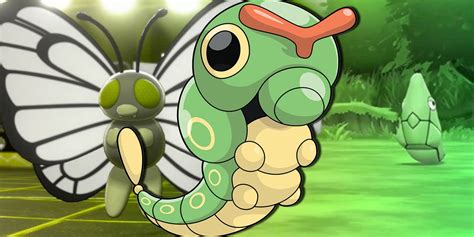 Pokémon Sword & Shield Caterpie, Metapod & Butterfree Evolution Guide