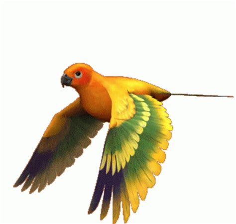 Flying Bird Gif Bird Sticker - Flying Bird Gif Bird Flapping Wings ...