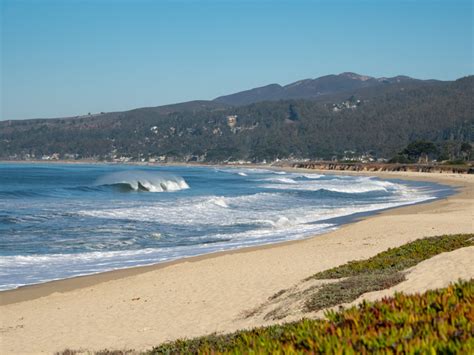 Half Moon Bay State Beach Park: Camping & Activity Guide