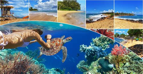 7 Best Kauai Snorkeling Spots | Videos, Photos, Parking, Facilities & More!