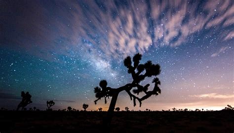 Landscape, night sky, and clouds at Joshua Tree National Park ...